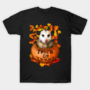 Trick or treat Halloween Possum T-Shirt